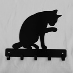 cat-3 hook image